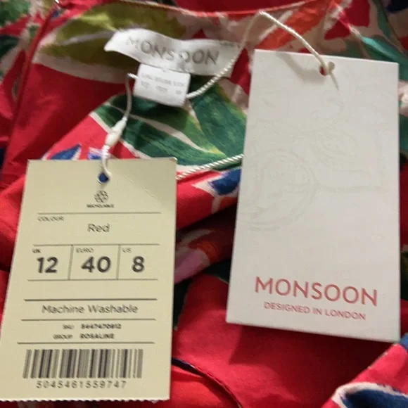 Monsoon - Picture 9 of 10